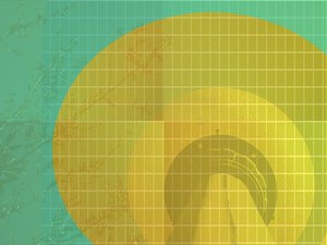 工具进阶技巧分享